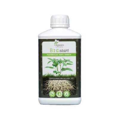 Big Start Organics Nutrients