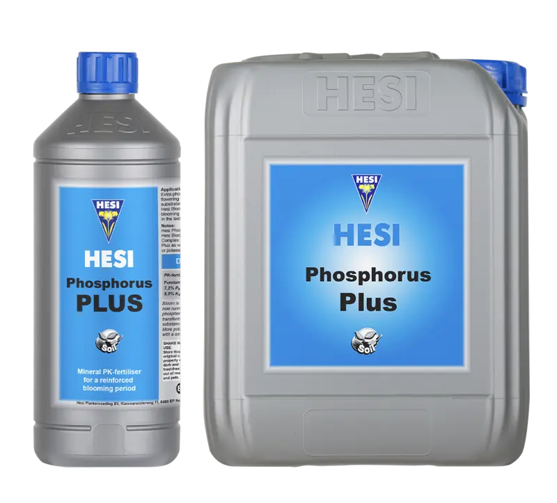 Phosphorus Plus HESI