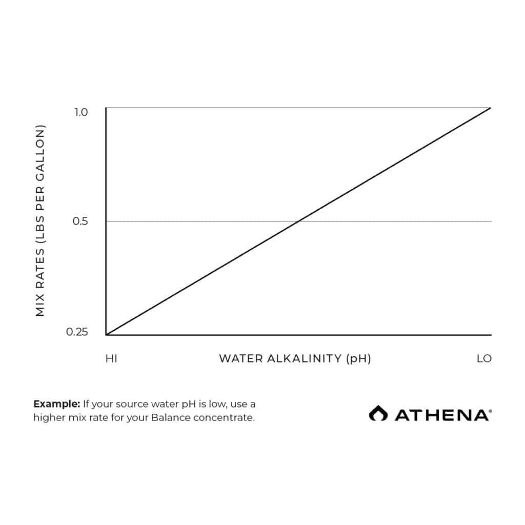 Pro Balance 4,54 kg (10lb) Athena - Slika 2