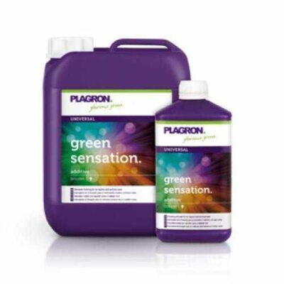 Green Sensation 1L Plagron