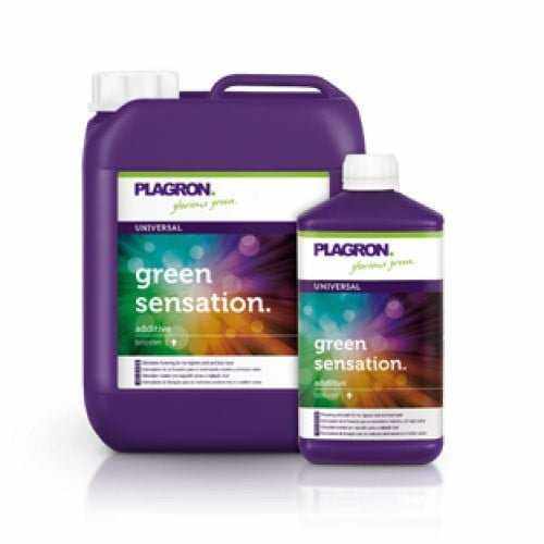 Green Sensation 1L Plagron