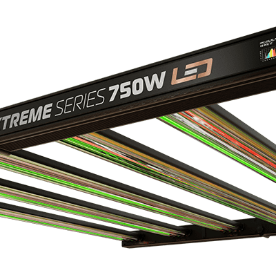 LED Dimlux Xtreme 750W – PhytoVegSpec®