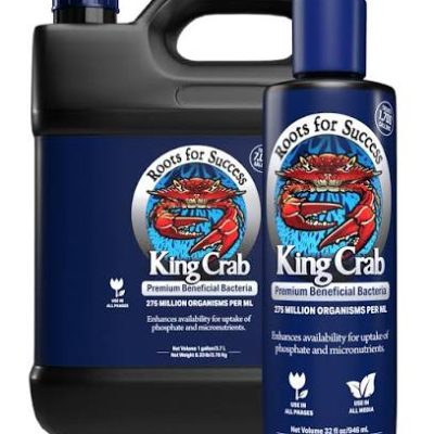 kingcrab