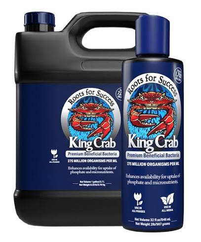 kingcrab