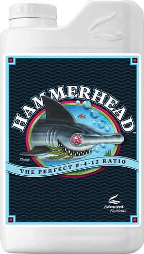 Hammer Head 1L Advanced Nutrients