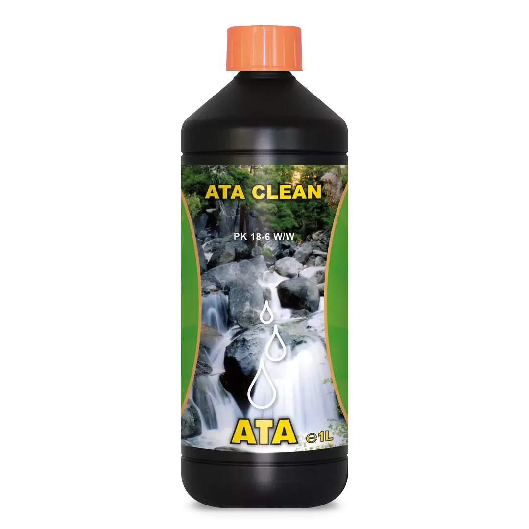 ATA Clean Atami