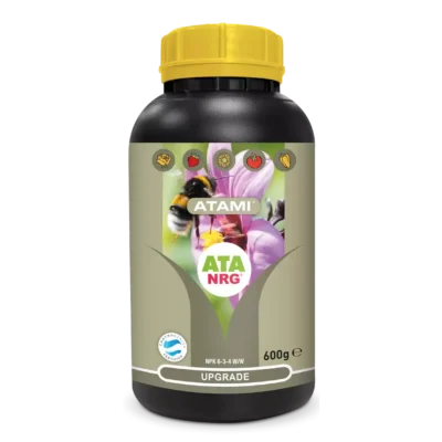 ATA NRG Upgrade Atami