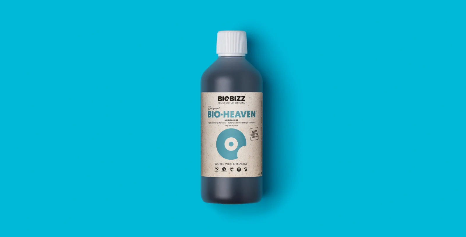Bio Bav Problem Solver