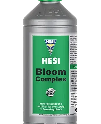 Bloom Complex Hesi