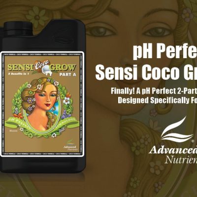 Sensi bloom coco A + B 1L Advanced Nutrients