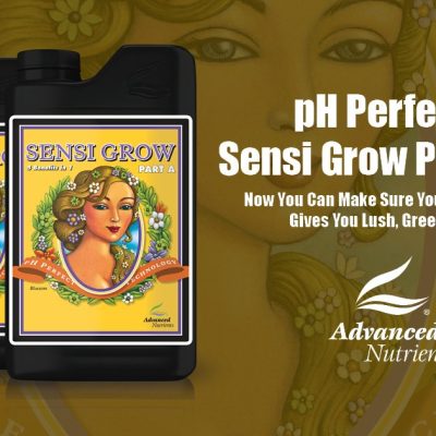 Sensi grow A+B 2x1L Advanced nutrients