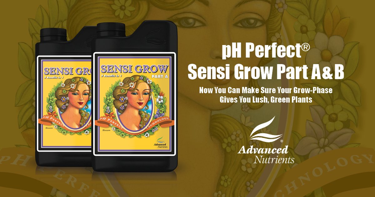 Sensi bloom A + B 2x4L Advanced Nutrients