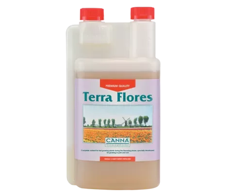 Terra Flores Canna