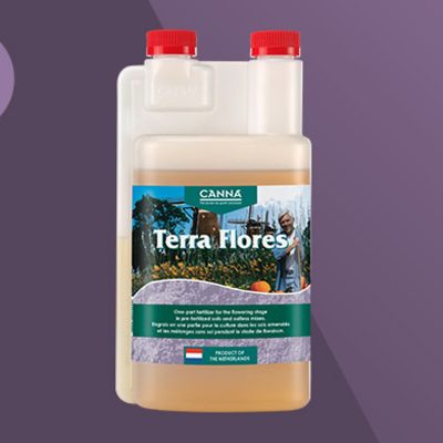 Terra Flores CANNA