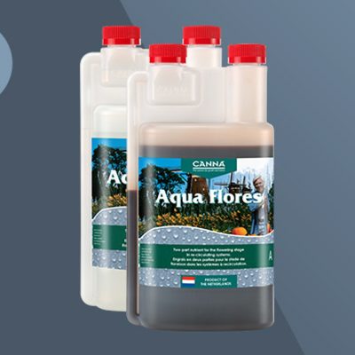 Canna Aqua Flores A B