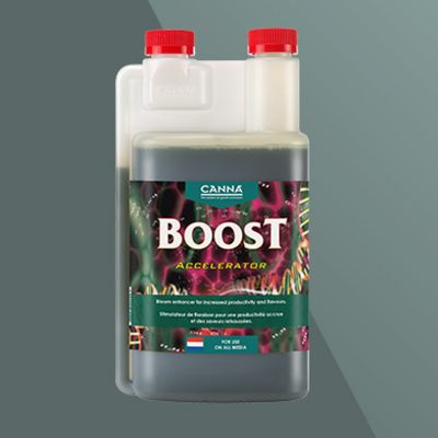 CANNABOOST Accelerator CANNA