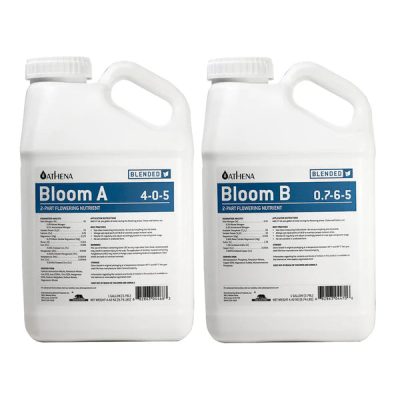 Blended Bloom A+B ATHENA