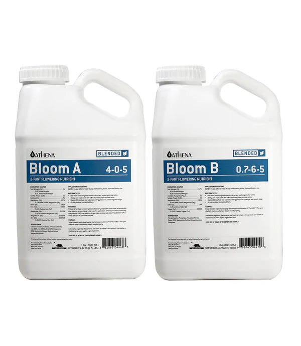 Blended Bloom A+B ATHENA