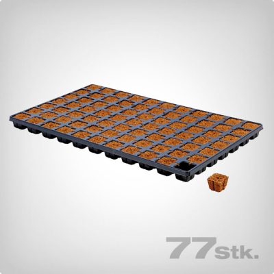 Kocke za ukorjenjivanje Eazy Plug CT77 3,5x3,5 cm (77 kom) EAZY PLUG