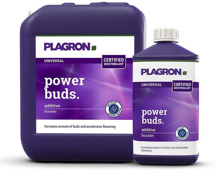 Power Buds PLAGRON biostimulator cvatnje – boca 1 L i kanistar