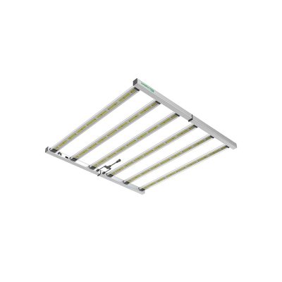 LED Lazerlite Pro 720 W PURE FACTORY