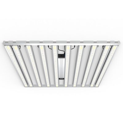 LED Tarantula Tent Ultimate 5x5 GRAND MASTER